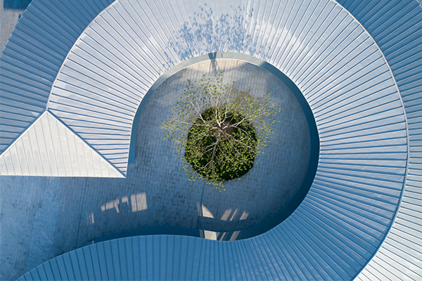 鈦鋅板 — 卓越的色彩及質(zhì)感